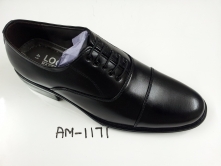 am-1171